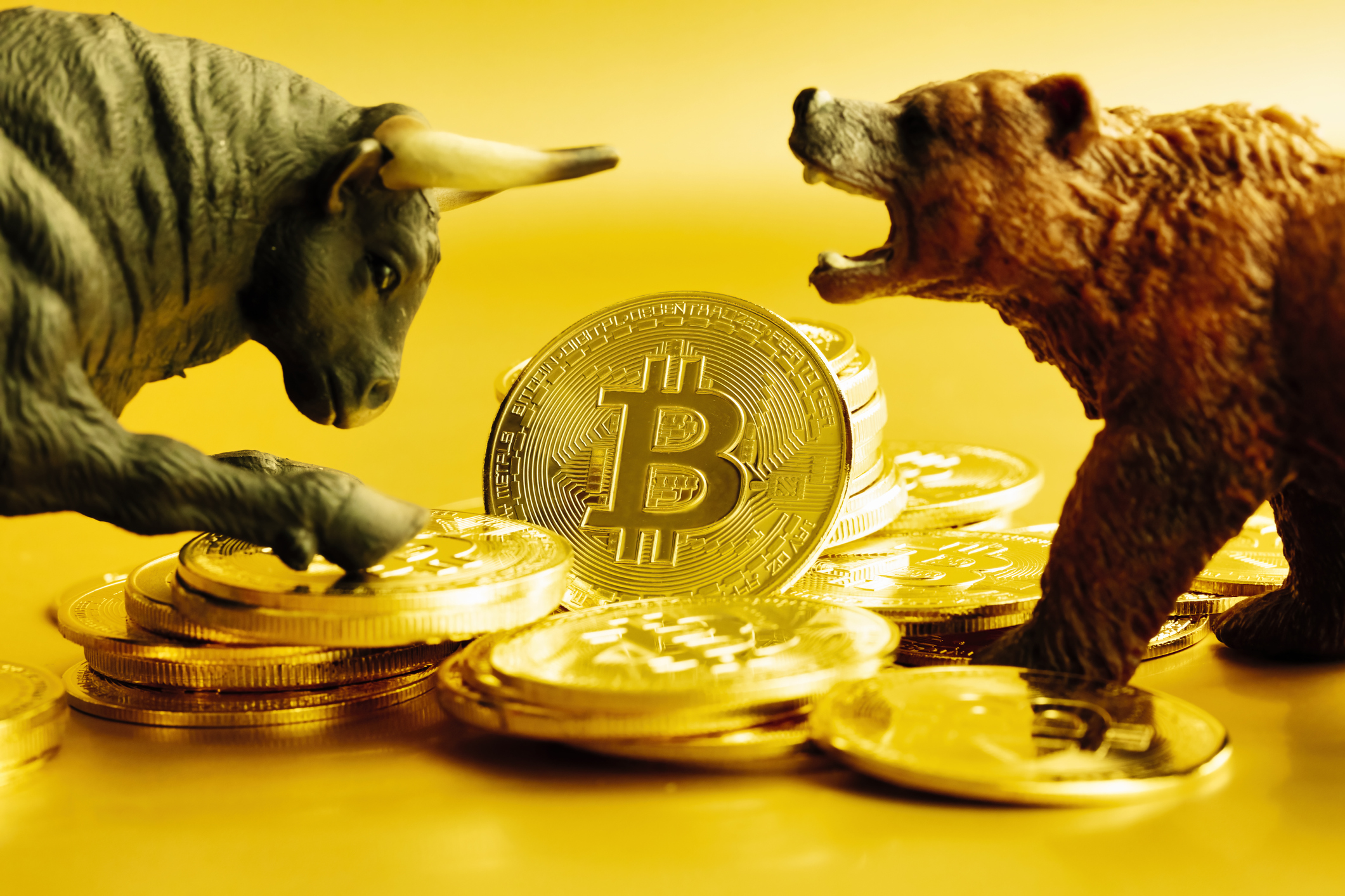 bitcoin bullrun bearmarket